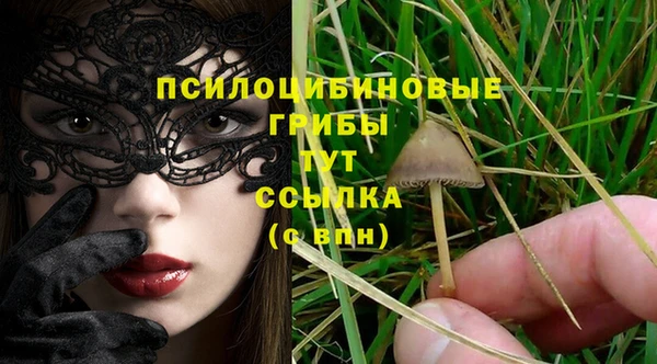 мет Аркадак