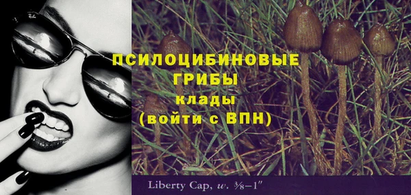 бутират Алзамай