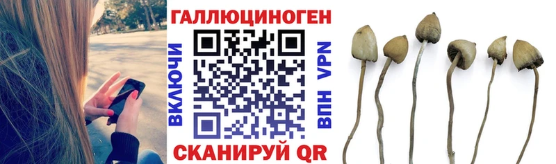 Псилоцибиновые грибы GOLDEN TEACHER  Купить где  Бавлы 